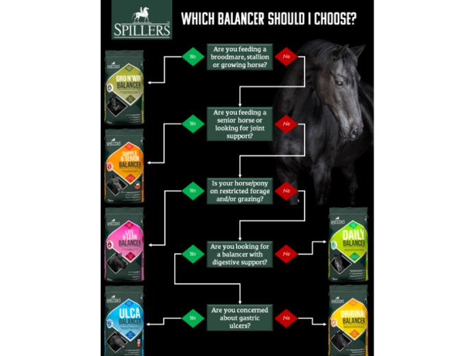 Which balancer does my horse need?