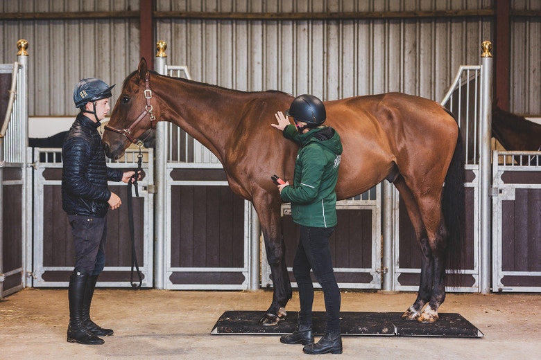 Is your horse underweight?
