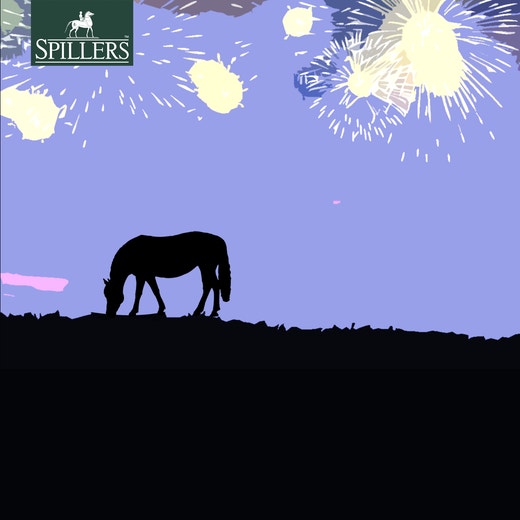 7 Tips for surviving bonfire night with your horse