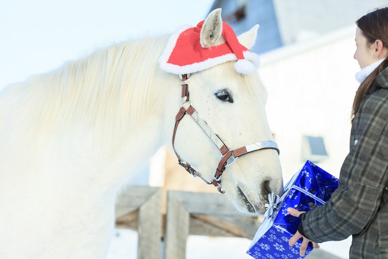 Christmas shopping for your horse