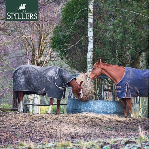 #SPILLERSScience: Reasons for retirement 