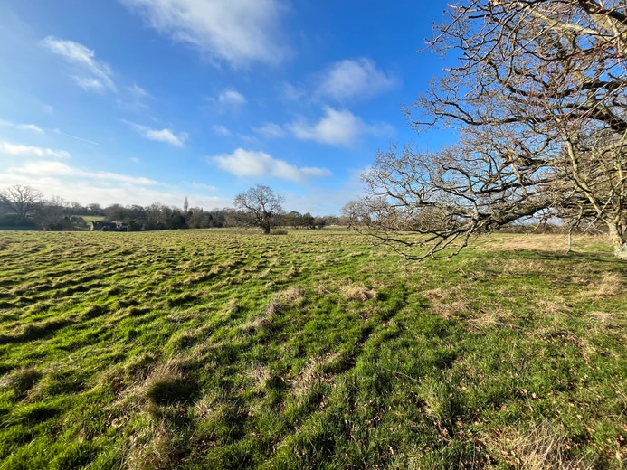 Retirement Planning for Your Equine Partner: Ensuring a Happy, Healthy, and Fulfilling Life After Riding