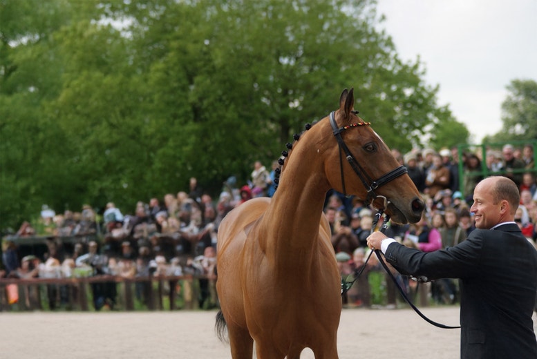 The 76th Annual Badminton Horse Trials