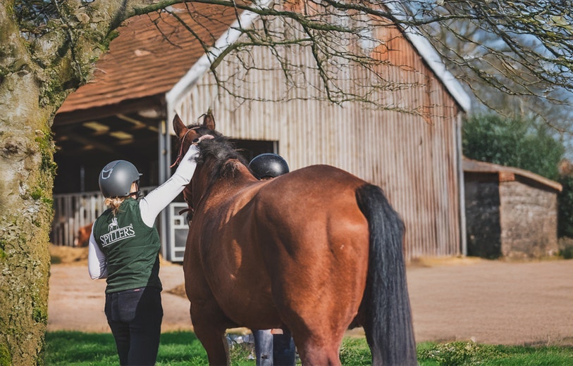 #SPILLERSScience: New PPID research receives special recognition by leading veterinary journal