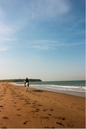 The Best Beach Riding Holidays in the UK: Where to Go and What to Expect