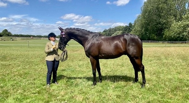 Showstopper shine: how diet can help