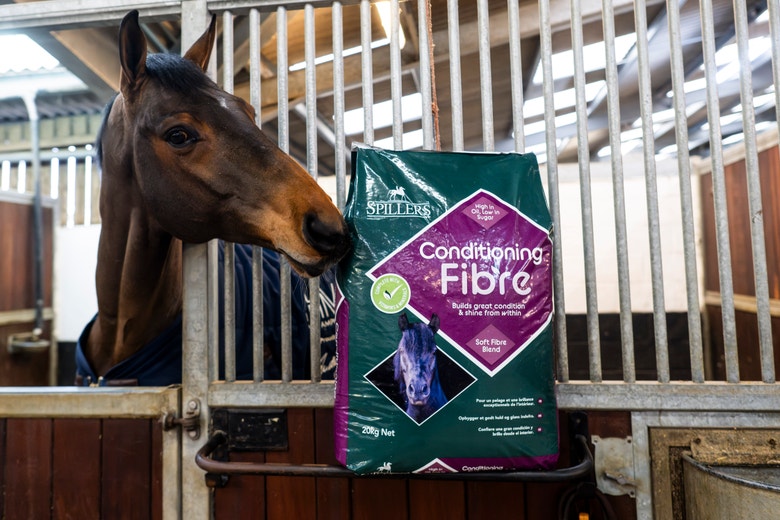 Enhancing Wellbeing Through Nutrition: Why getting a balanced diet is your horse’s superpower!