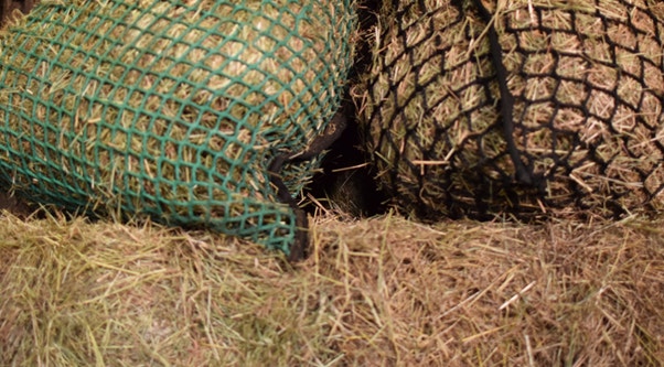 Feeding Straw to Horses