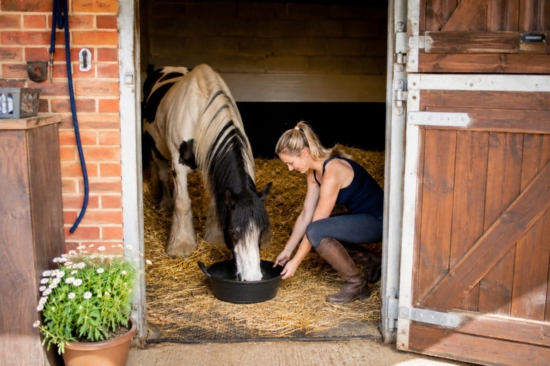 What’s inside the bag? An inside look at horse feed formulation