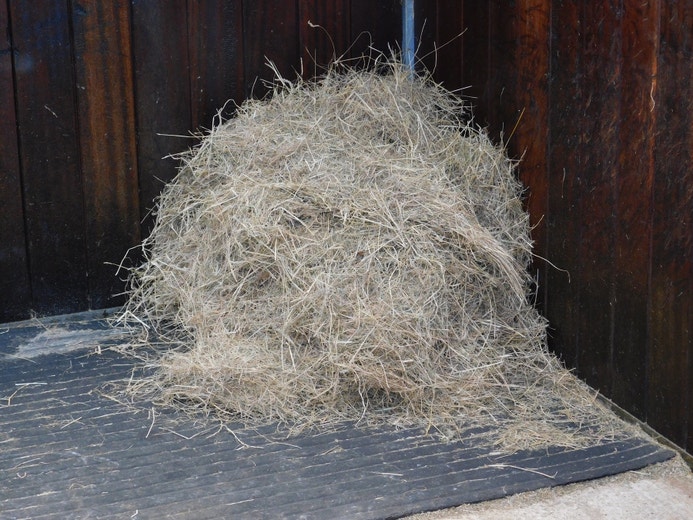 Forage First: How to Feed Your Poor Doer and Build Condition Safely