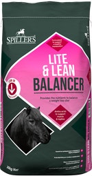 Lite & Lean Balancer image