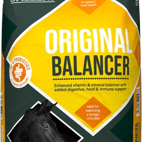 Original Balancer Front