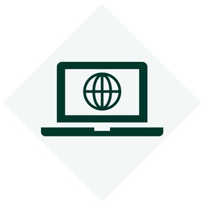 Alt Image