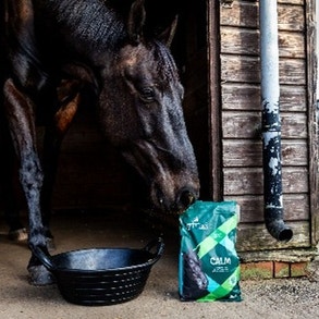 horse eating spillers supplements