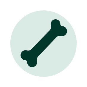 Alt Image