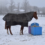 Worried About Winter Weight Loss? 