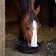 Feeding the Fussy Poor Doer 