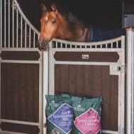 conditioning feed and horse