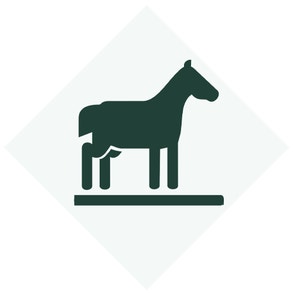 Alt Image