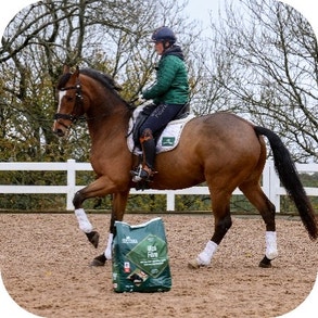 choose feeds that are high in oil