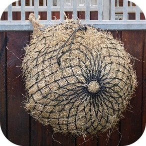 have forage analysed