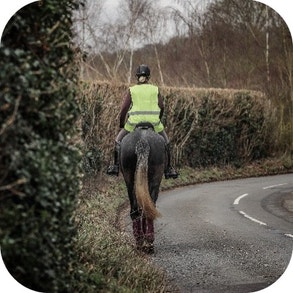 Appropriate daily exercise 