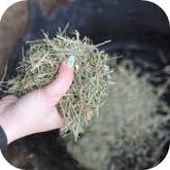 grass-based products for laminitics 