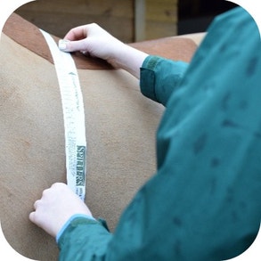 Watch their waistline