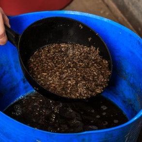 mixing food for horse