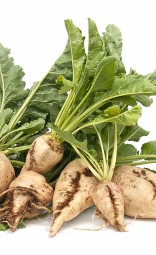 /sites/g/files/fnmzdf1656/files/2023-05/Sugar-beet-1024x681.jpg