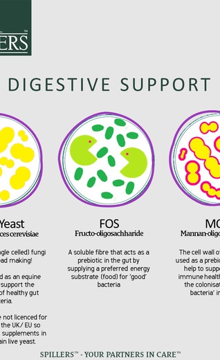 /sites/g/files/fnmzdf1656/files/2023-10/Digestive%20health%20-%20pre%20%26%20probiotics_1.png