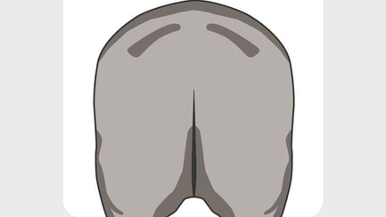 Alt Image