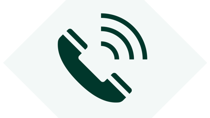 Alt Image