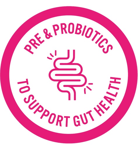 image Pink_Gut_Health_Icon
