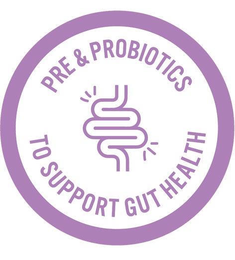 image Purple_Gut_Health_Icon