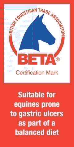 BETA EGUS logo