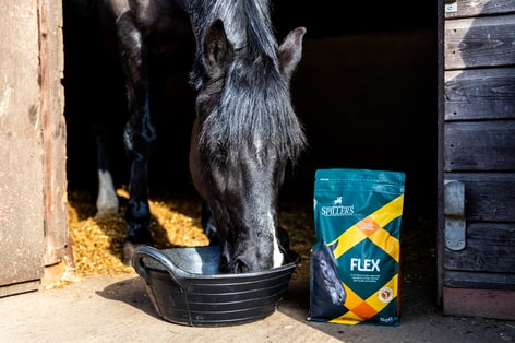 flex-img-3