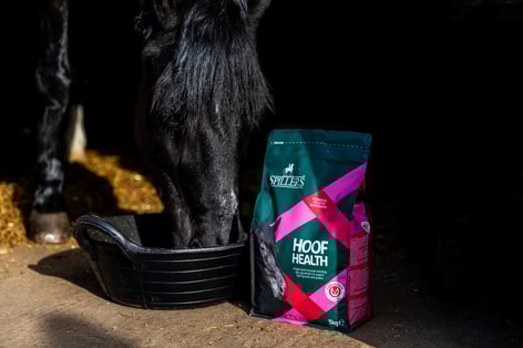 Hoof health eating