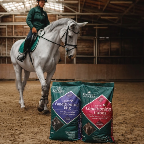 SPILLERS Shine Plus Conditioning Mix