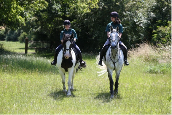 Two White Horses