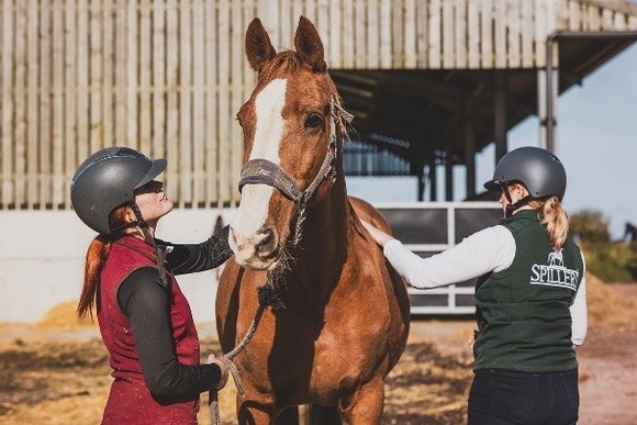 Two women with a senior horse