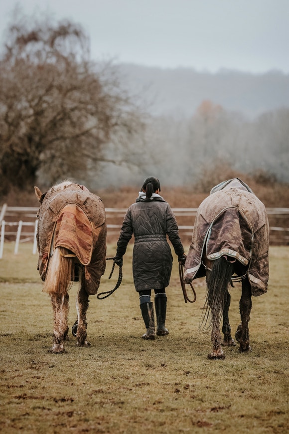 woman walking with two horses