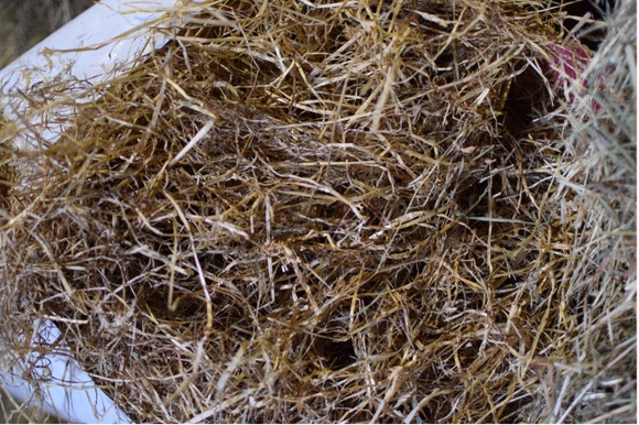 Haylage