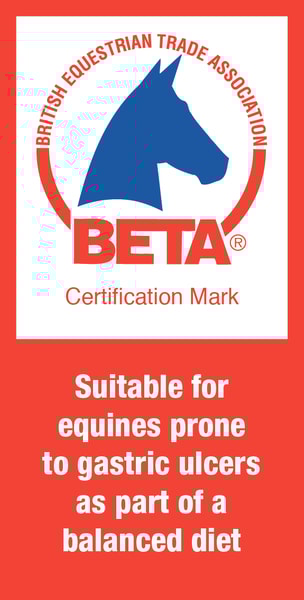 BETA EGUS logo