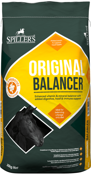 Original Balancer Front