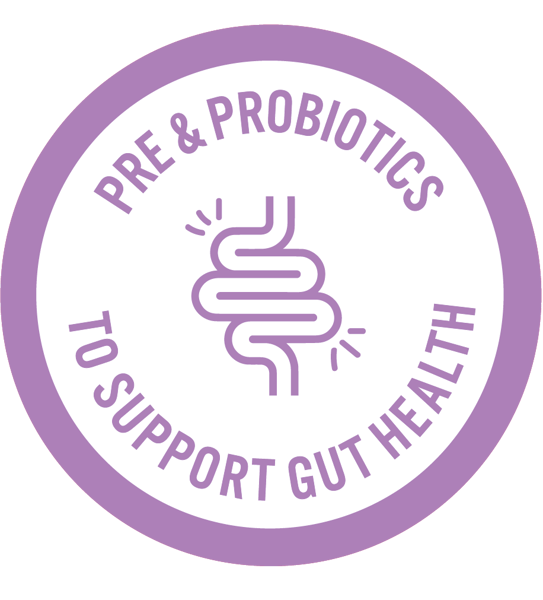 Purple_Gut_Health_Icon.png