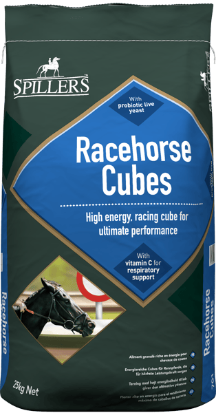 Racehorse Cubes Front.png