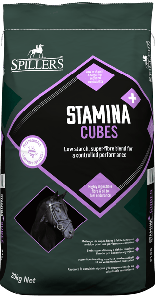 Stamina Plus Cubes Front