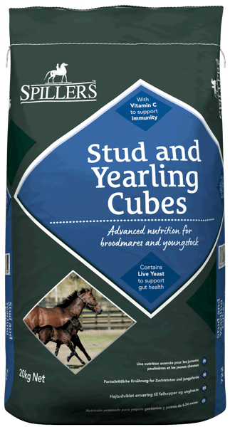 Stud and Yearling Cubes Front 