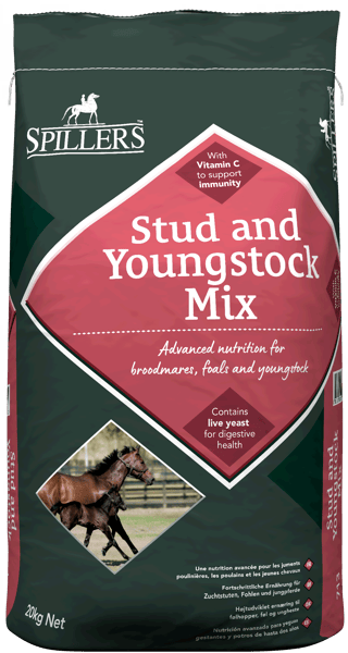 Stud and Youngstock Mix Front